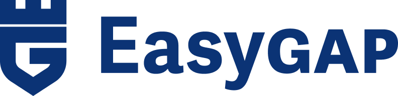 EasyGAP Insurance